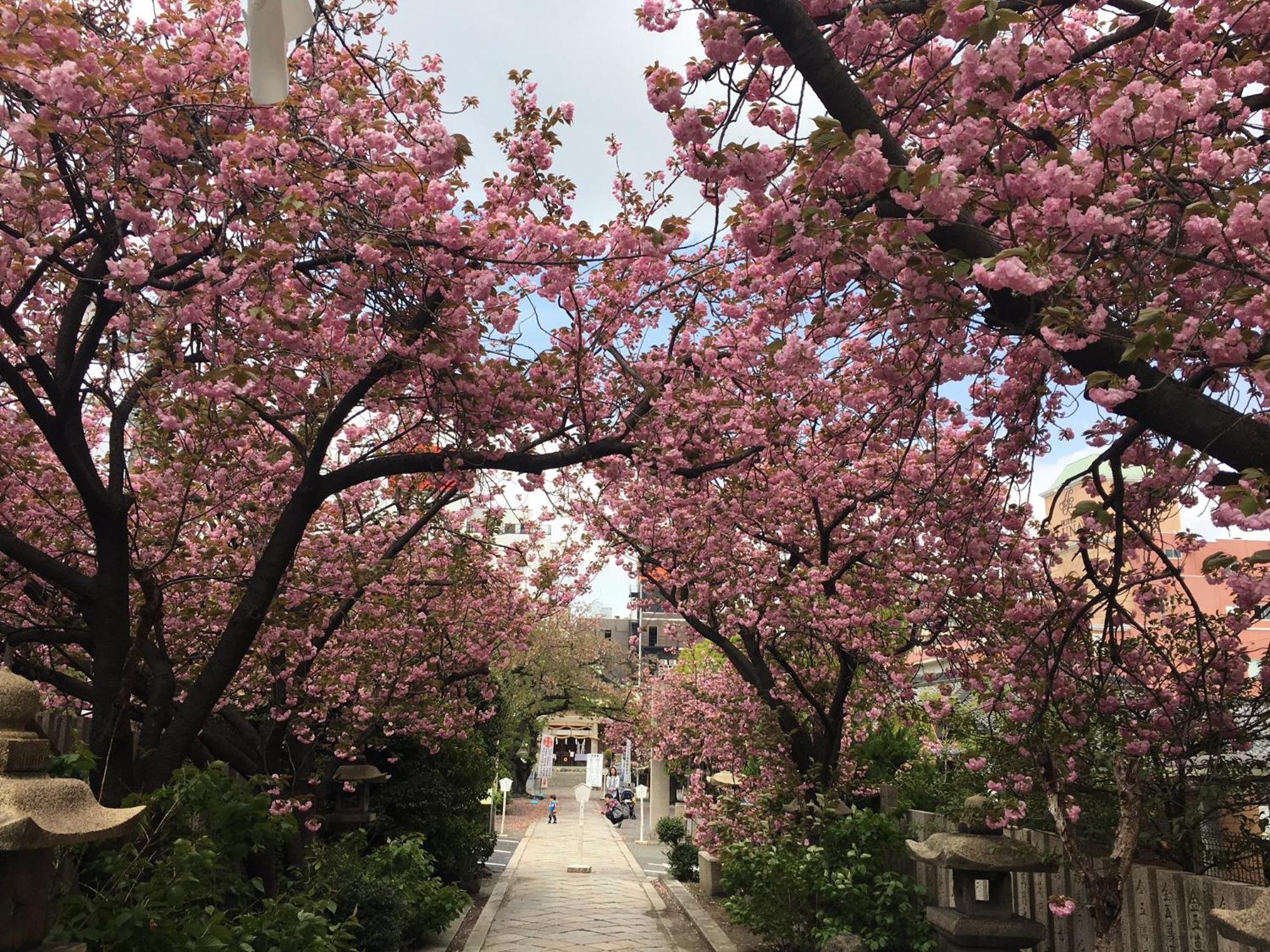 Hotel Noah Grande (Adults Only) Osaka Exterior foto