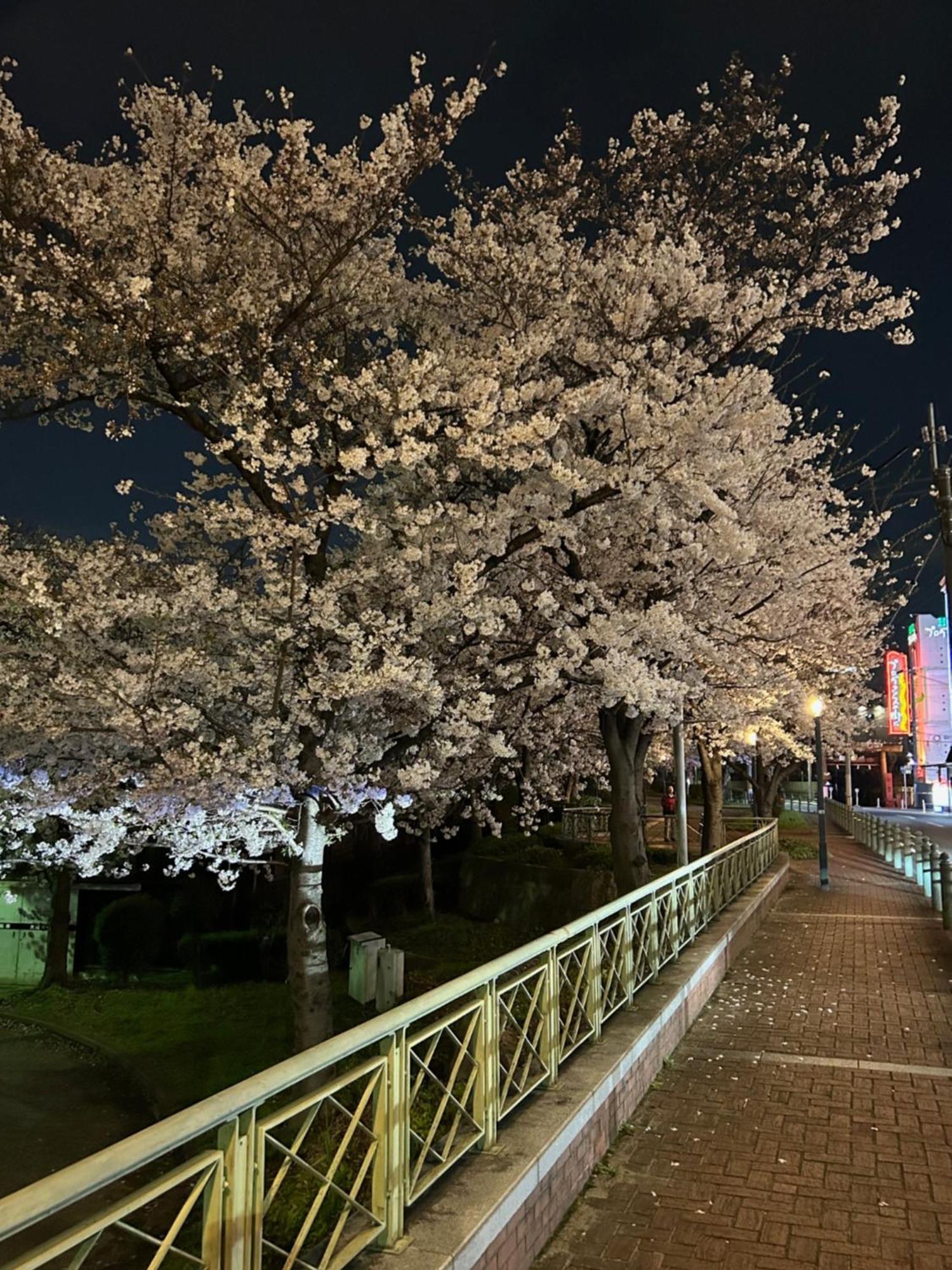 Hotel Noah Grande (Adults Only) Osaka Exterior foto